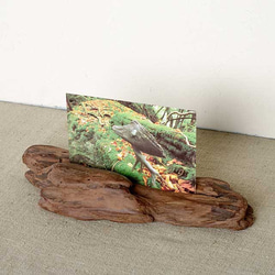 【送料無料】流木フォトスタンド－１１　 2枚目の画像