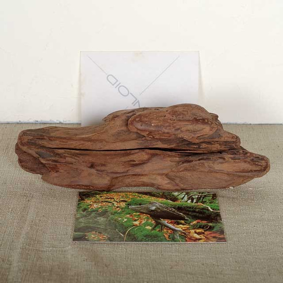 【送料無料】流木フォトスタンド－１１　 4枚目の画像