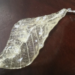 氷みたいな葉っぱのピアスICEleaf 3枚目の画像