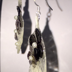 氷みたいな葉っぱのピアスICEleaf 3枚目の画像