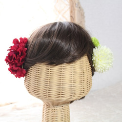 花びらたっぷりのラナンキュラスとピンポンマムの髪飾り 3枚目の画像