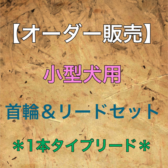 【オーダー販売】オシャレ可愛い個性的♡小型犬用／首輪•リードセット【パラコード】 1枚目の画像