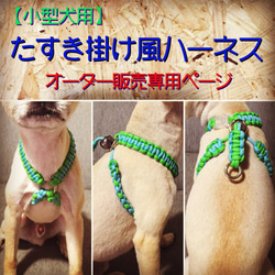 パラコード【小型犬用】おしゃれ可愛い個性的♡たすき掛けハーネスオーダー販売 1枚目の画像