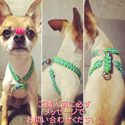 パラコード【小型犬用】おしゃれ可愛い個性的♡たすき掛けハーネス ...
