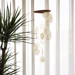 波模様カピスシェルモビール 1枚目の画像