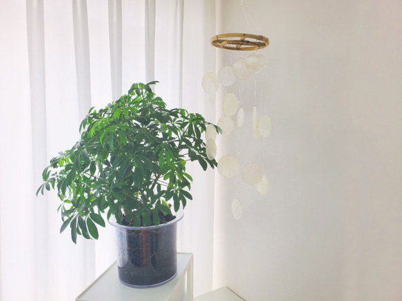 波模様カピスシェルモビール 4枚目の画像