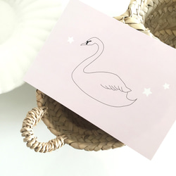 ポストカードサイズ カード ★ Swan romantique 12枚 1枚目の画像