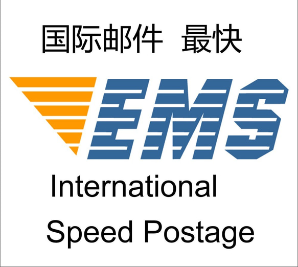 EMS 海外発送オプション 1枚目の画像