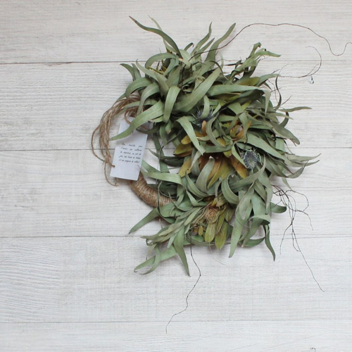 雲雀」wreath 笹葉ユーカリとリューカデンドロンのハーフリース