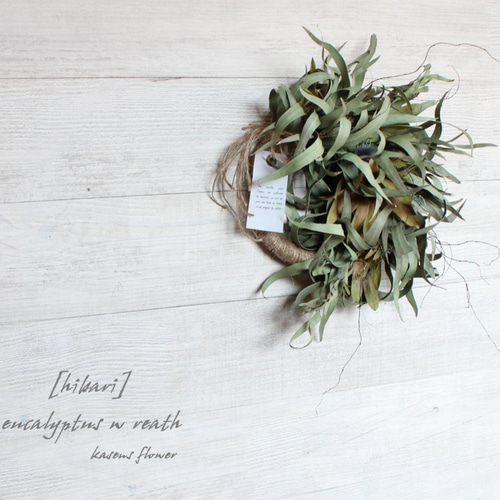 雲雀」wreath 笹葉ユーカリとリューカデンドロンのハーフリース