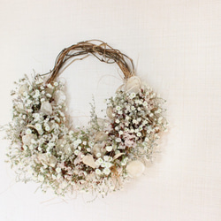 ＊受注製作＊　「花筵」half wreath 　かすみ草とルナリアのハーフリース　桜　ドライフラワーリース　 5枚目の画像