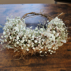 ＊受注製作＊　「花筵」half wreath 　かすみ草とルナリアのハーフリース　桜　ドライフラワーリース　 7枚目の画像