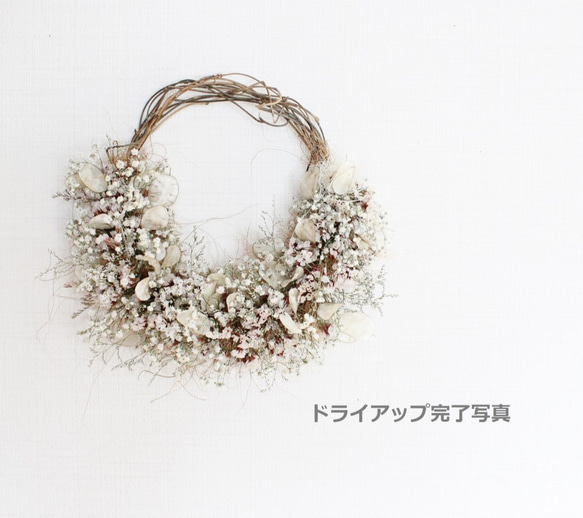 ＊受注製作＊　「花筵」half wreath 　かすみ草とルナリアのハーフリース　桜　ドライフラワーリース　 9枚目の画像