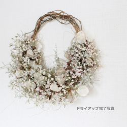 ＊受注製作＊　「花筵」half wreath 　かすみ草とルナリアのハーフリース　桜　ドライフラワーリース　 10枚目の画像