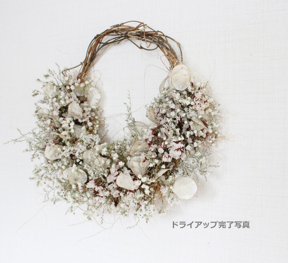 ＊受注製作＊　「花筵」half wreath 　かすみ草とルナリアのハーフリース　桜　ドライフラワーリース　 10枚目の画像