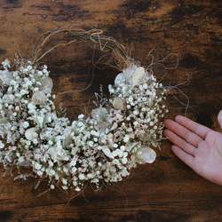 ＊受注製作＊　「花筵」half wreath 　かすみ草とルナリアのハーフリース　桜　ドライフラワーリース　 8枚目の画像
