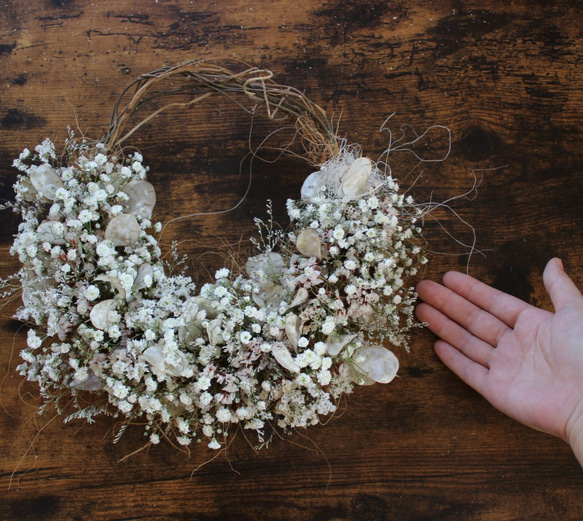 ＊受注製作＊　「花筵」half wreath 　かすみ草とルナリアのハーフリース　桜　ドライフラワーリース　 8枚目の画像