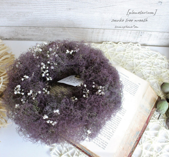 幻想的なスモークツリーとフィリカ、かすみ草のナチュラルリース プラネタリウム」wreath スモークツリー とかすみ草のリース