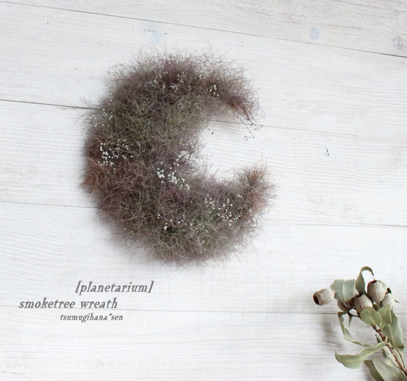 ＳＯＬＤ　「月にプラネタリウム」wreath    スモークツリー とかすみ草の 三日月リース　ドライフラワーリース　 1枚目の画像
