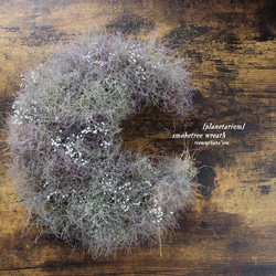 ＳＯＬＤ　「月にプラネタリウム」wreath    スモークツリー とかすみ草の 三日月リース　ドライフラワーリース　 2枚目の画像