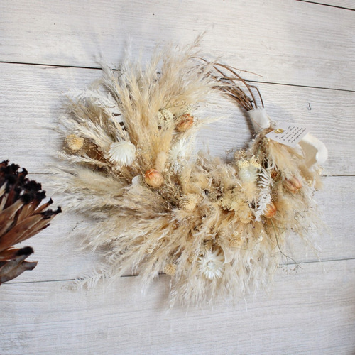 パンパスグラス の ハーフリース パンパスグラス ドライフラワー