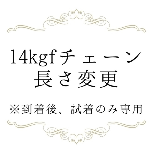 【14kgf チェーン長さ変更】 1枚目の画像