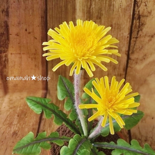 粘土 日本たんぽぽさん 素焼き鉢編 二ホンタンポポ アートフラワー