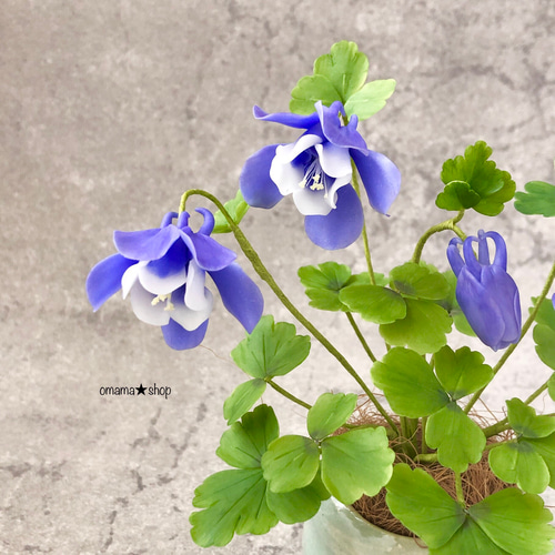 ミヤマリカ　花絵付けプレート　大 受注 【粘土の花】深山苧環 ミヤマオダマキ 手作り花器編 アート