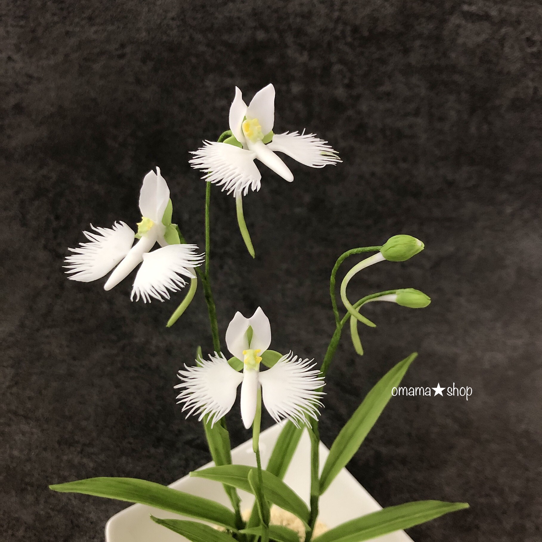 鷺草 ※花器込み 他3点 | eliq.hu
