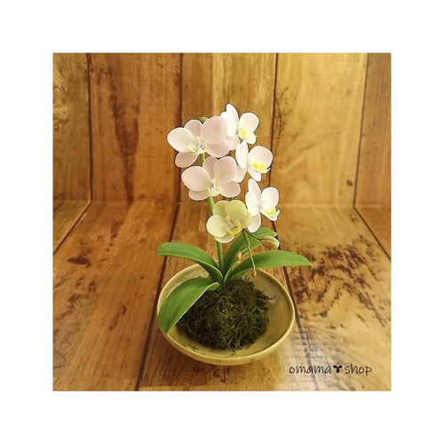粘土 ミニ胡蝶蘭さま（手作り足つき豆鉢編） アートフラワー omamaの古