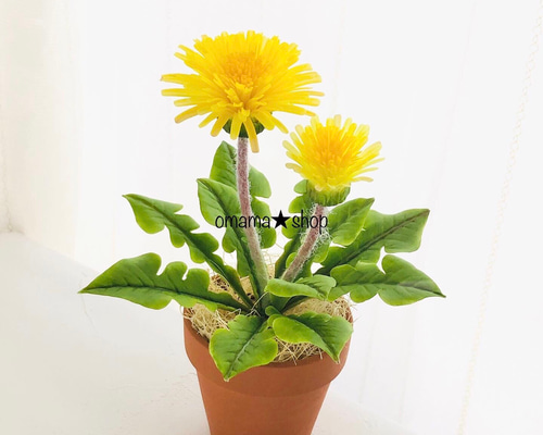 1_bce58fa6209521d9f18445ad0408