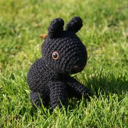 アマミノクロウサギ（黒） 2枚目の画像