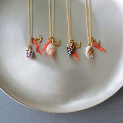 【Creema限定】[ネックレス]巻貝と珊瑚のネックレス（茶模様） 6枚目の画像