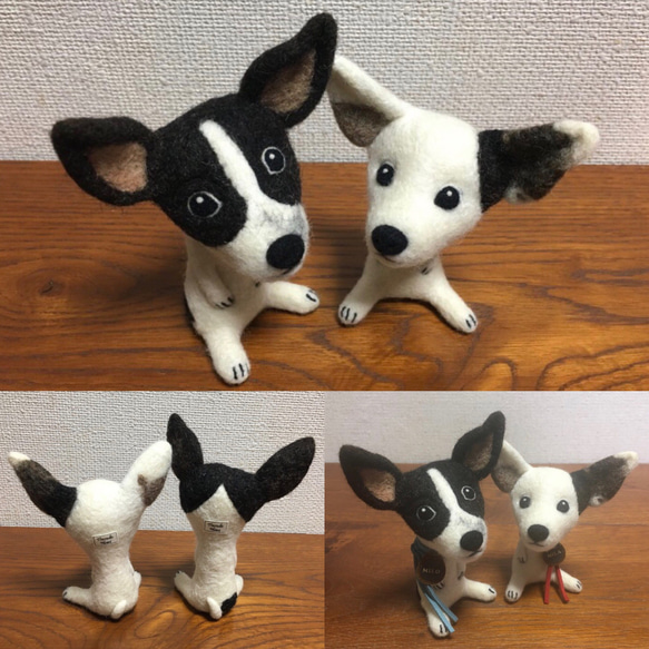 【オーダーメイド 受注制作】愛犬で「おすわりDOG。」のオーダーをお受けいたします！ 3枚目の画像