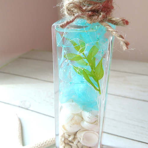 琉球◯海のたね マリン in ハーバリウム { 貝殻 巻貝 A }