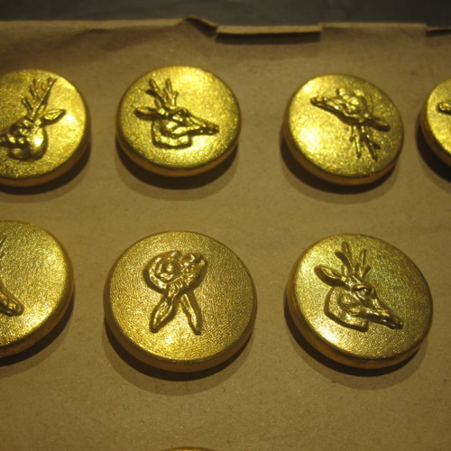 パリ蚤の市で購入したウサギ パリ蚤の市で購入したウサギ パリ蚤の市で購入したウサギ