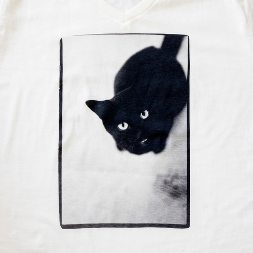 シルクスクリーンプリント『街猫Tシャツ』 Tシャツ Maison
