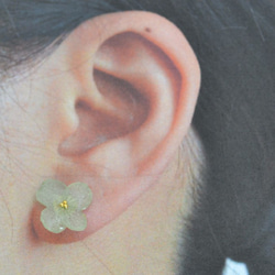綠繡球耳環（073 /耳環允許） 第2張的照片