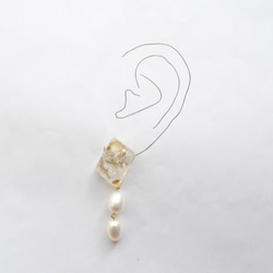 淡水珍珠耳環（Tatarika） 第3張的照片