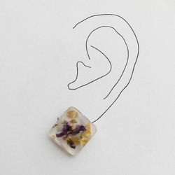 草藥方耳環（P-188 /鈦/ PU） 第4張的照片