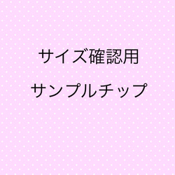 サイズ確認用チップ 1枚目の画像