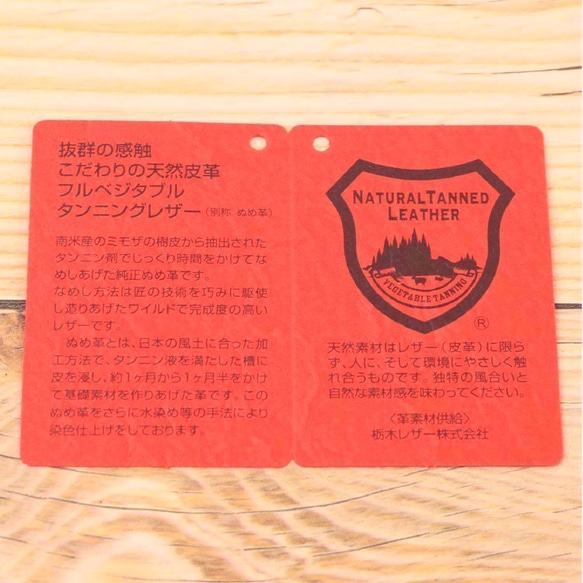 シンプル パスポートケース ORANGE 栃木レザー 本革 NC3705 5枚目の画像