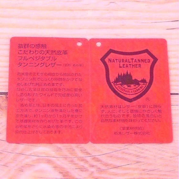 パスケース REDベース 栃木レザー 本革 NC3703-2 5枚目の画像
