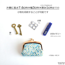 Compartments purse(S) - Liberty "Summer Posy" [858] 第9張的照片