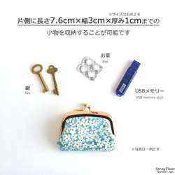 Compartments purse(S) - Liberty "Betsy" Magenta [862] 第9張的照片