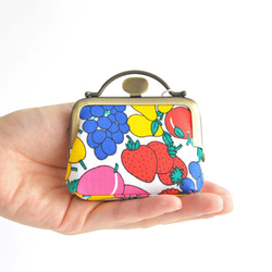 Unique frame pouch(S) - Vintage "Fruits" [249] 第1張的照片