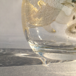 麻炭ガラス『Golden Wave ウイスキーグラス(ヒマラヤ産原種 麻炭使用）』 7枚目の画像