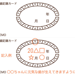 ティース・ボックス（TEETH・BOX）　／　乳歯入れ 5枚目の画像