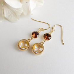 Beige &amp; Brown｜｜CUTE ♡ Crystal Bijou Pop Color Earrings (Earr 第2張的照片