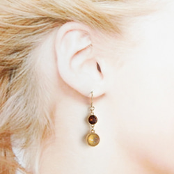 Beige &amp; Brown｜｜CUTE ♡ Crystal Bijou Pop Color Earrings (Earr 第5張的照片